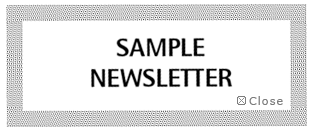 WindyMail Newsletter Sample Icon